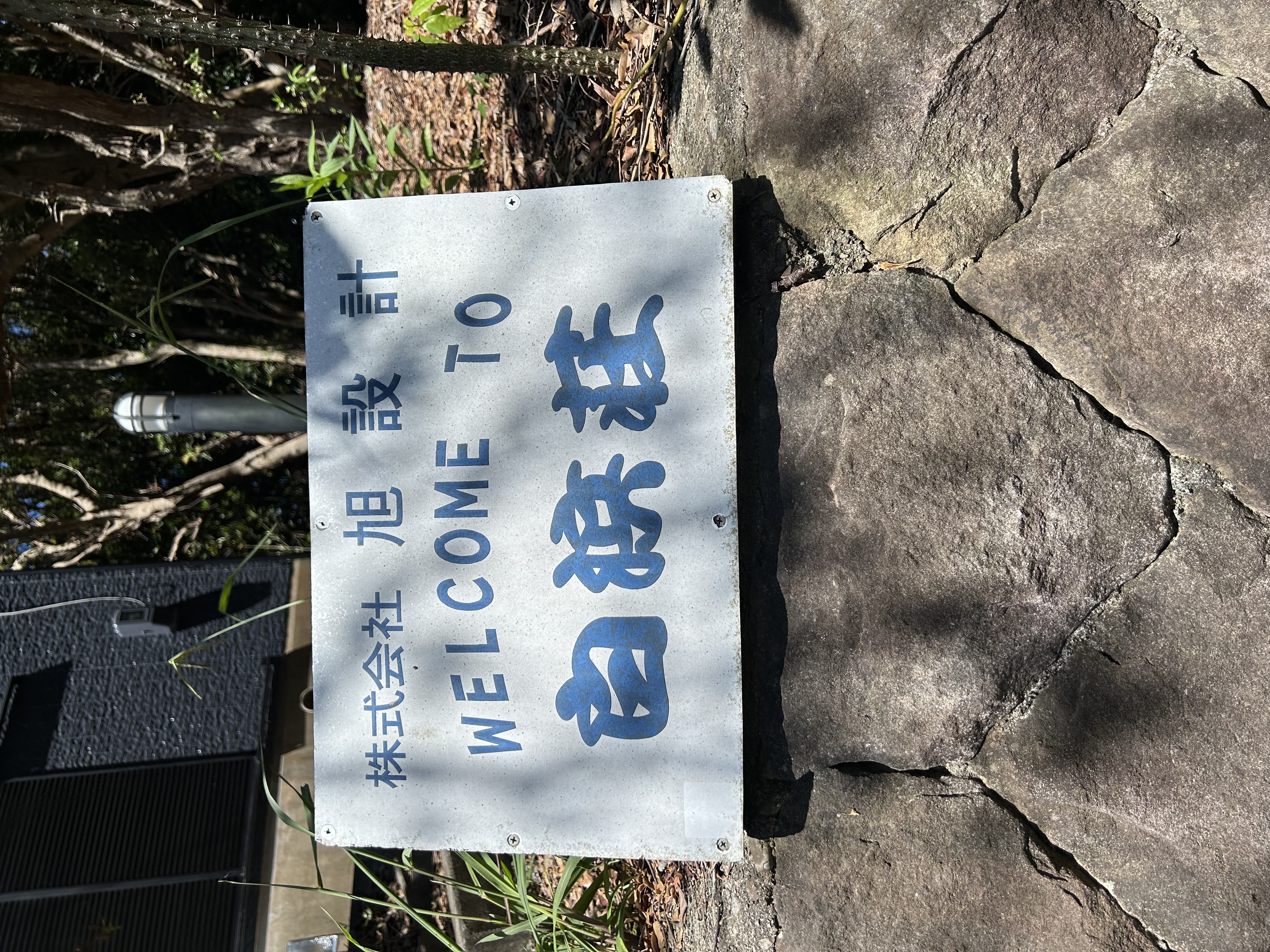 琵琶湖2