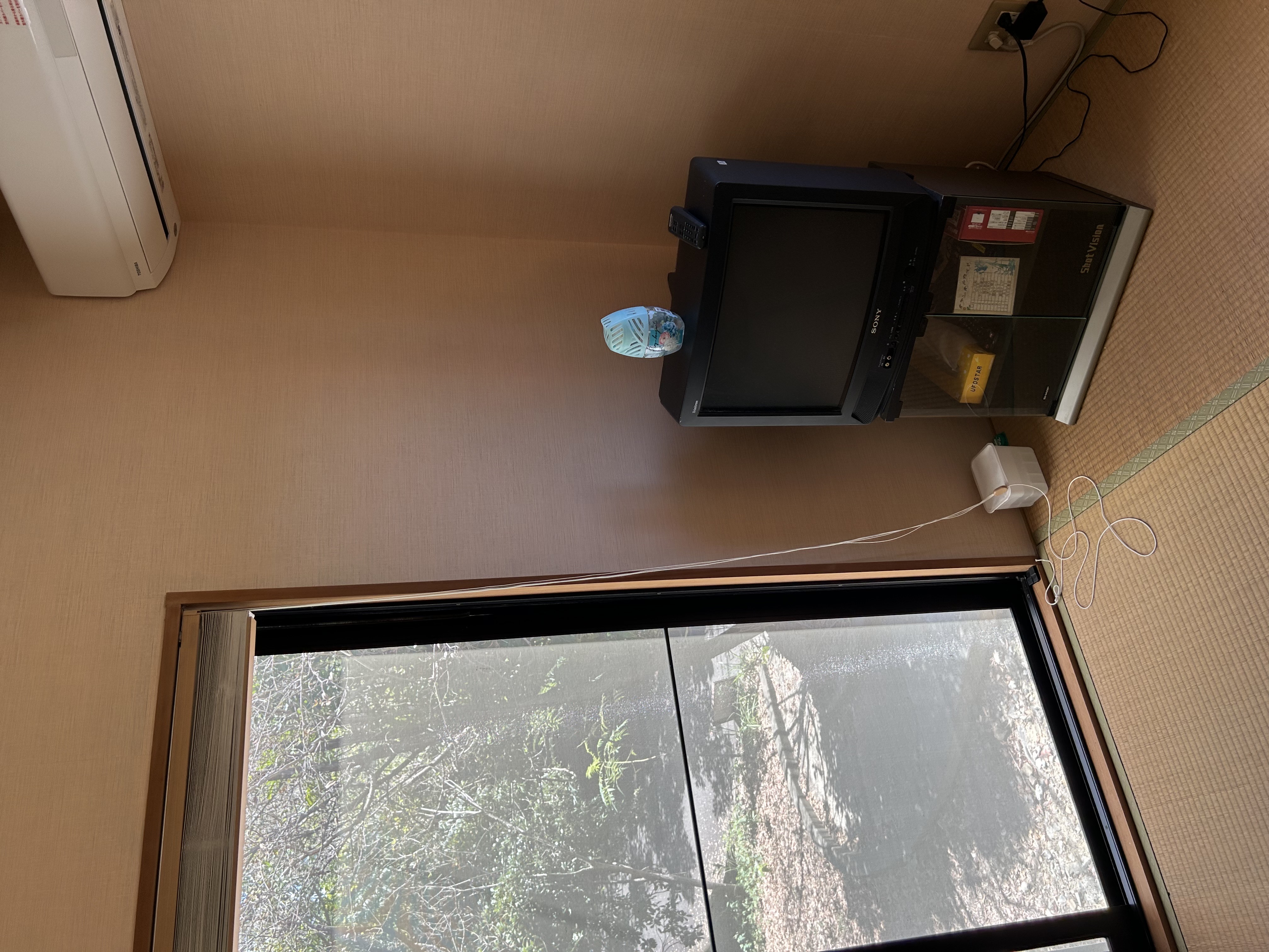 琵琶湖8